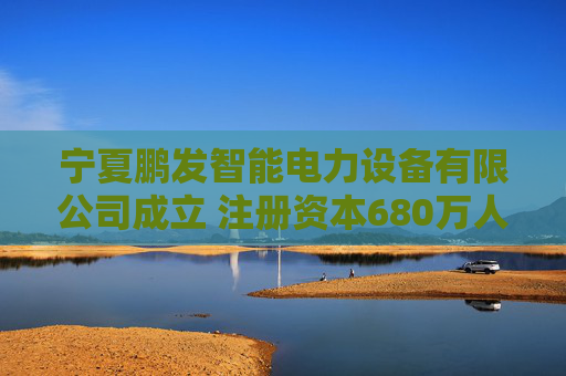 宁夏鹏发智能电力设备有限公司成立 注册资本680万人民币  第1张