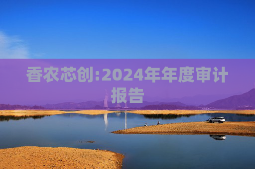 香农芯创:2024年年度审计报告