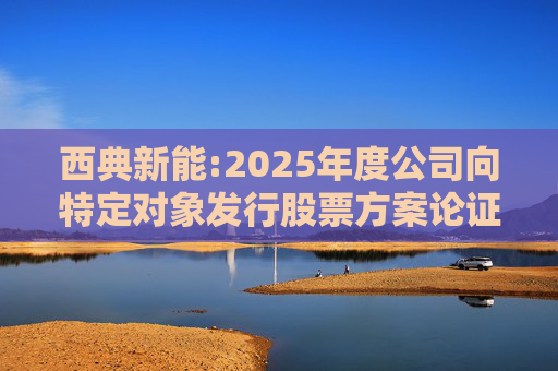 西典新能:2025年度公司向特定对象发行股票方案论证分析报告