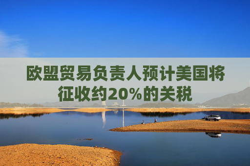 欧盟贸易负责人预计美国将征收约20%的关税