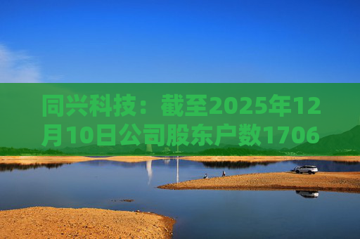 同兴科技：截至2025年12月10日公司股东户数17063户