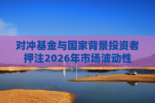 对冲基金与国家背景投资者押注2026年市场波动性