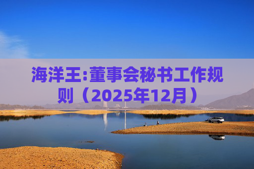 海洋王:董事会秘书工作规则（2025年12月）