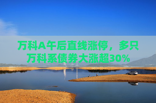 万科A午后直线涨停，多只万科系债券大涨超30%