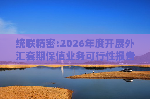 统联精密:2026年度开展外汇套期保值业务可行性报告