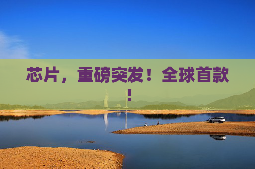 芯片，重磅突发！全球首款！