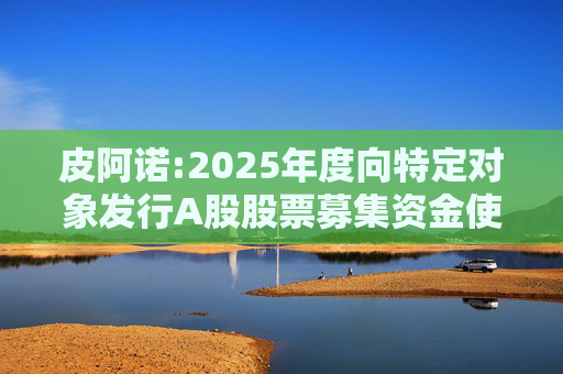 皮阿诺:2025年度向特定对象发行A股股票募集资金使用可行性分析报告