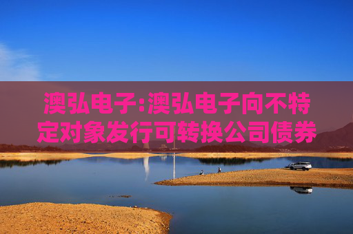 澳弘电子:澳弘电子向不特定对象发行可转换公司债券发行结果公告