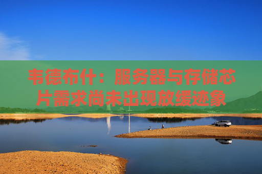 韦德布什：服务器与存储芯片需求尚未出现放缓迹象