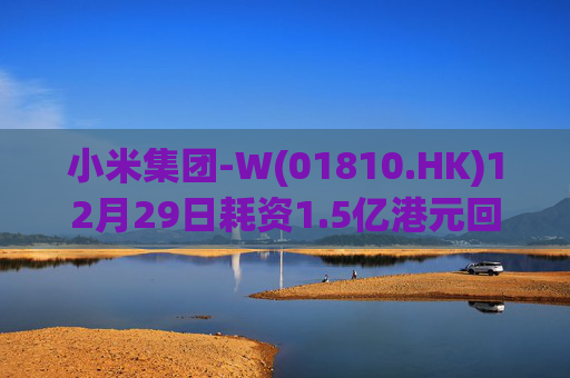 小米集团-W(01810.HK)12月29日耗资1.5亿港元回购390万股