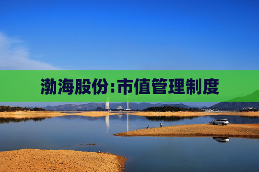 渤海股份:市值管理制度