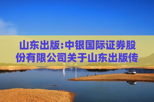 山东出版:中银国际证券股份有限公司关于山东出版传媒股份有限公司2024年度募集资金存放与实际使用情况之专项核查报告