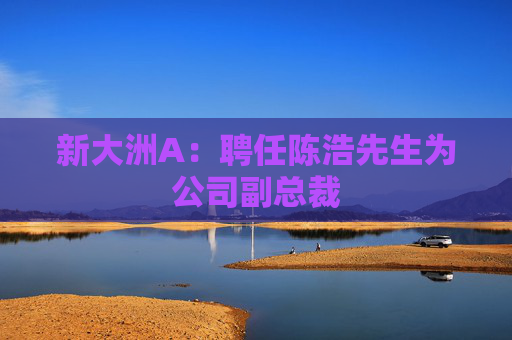 新大洲A：聘任陈浩先生为公司副总裁