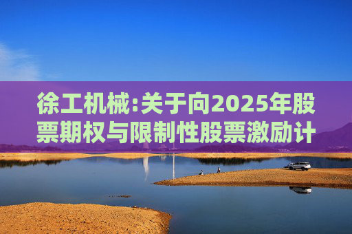 徐工机械:关于向2025年股票期权与限制性股票激励计划激励对象首次授予股票期权与限制性股票的公告  第1张