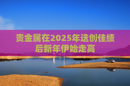 贵金属在2025年迭创佳绩后新年伊始走高