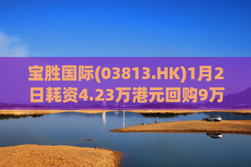 宝胜国际(03813.HK)1月2日耗资4.23万港元回购9万股