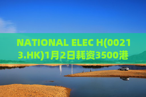 NATIONAL ELEC H(00213.HK)1月2日耗资3500港元回购1万股