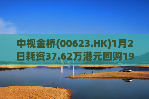 中视金桥(00623.HK)1月2日耗资37.62万港元回购19.4万股