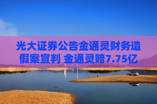 光大证券公告金通灵财务造假案宣判 金通灵赔7.75亿元