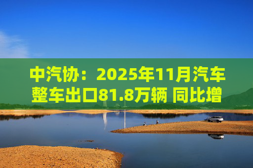 中汽协：2025年11月汽车整车出口81.8万辆 同比增长49.2%
