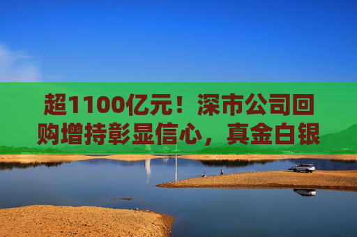 超1100亿元！深市公司回购增持彰显信心，真金白银护航市场稳定  第1张