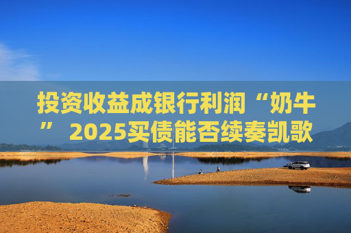 投资收益成银行利润“奶牛” 2025买债能否续奏凯歌