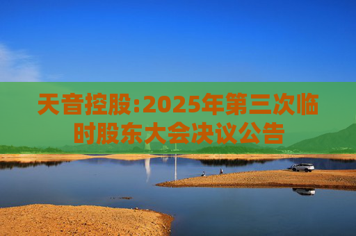 天音控股:2025年第三次临时股东大会决议公告