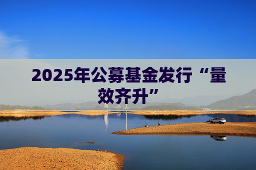 2025年公募基金发行“量效齐升”