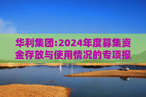 华利集团:2024年度募集资金存放与使用情况的专项报告  第1张
