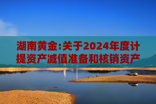 湖南黄金:关于2024年度计提资产减值准备和核销资产的公告