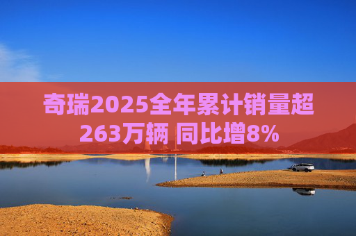奇瑞2025全年累计销量超263万辆 同比增8%