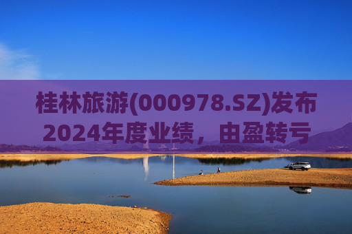 桂林旅游(000978.SZ)发布2024年度业绩，由盈转亏2.04亿元  第1张