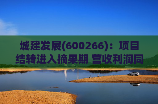 城建发展(600266)：项目结转进入摘果期 营收利润同比大幅提升