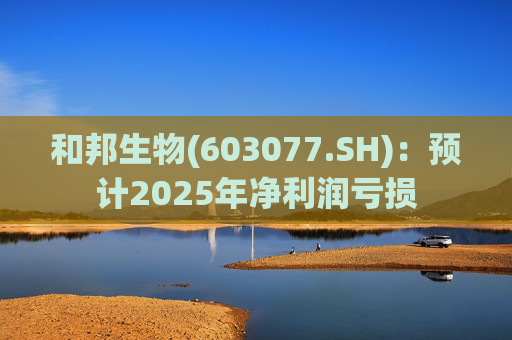 和邦生物(603077.SH)：预计2025年净利润亏损