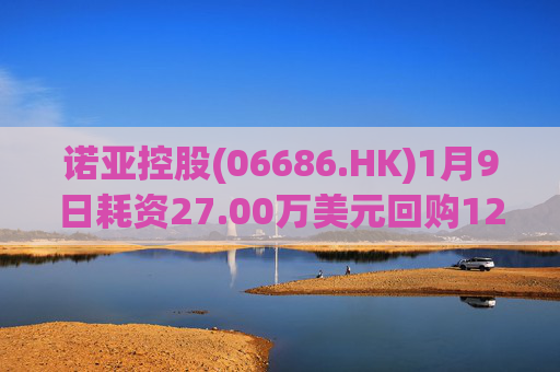 诺亚控股(06686.HK)1月9日耗资27.00万美元回购12.36万股