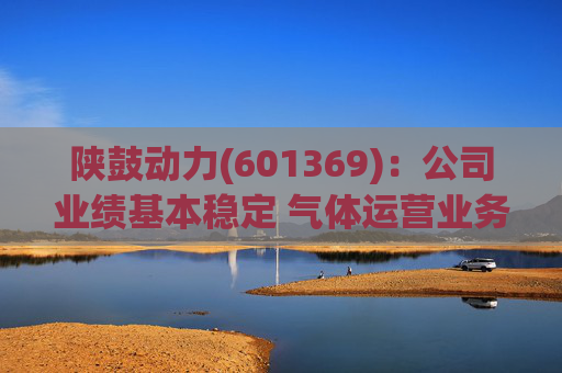 陕鼓动力(601369)：公司业绩基本稳定 气体运营业务贡献新增长引擎