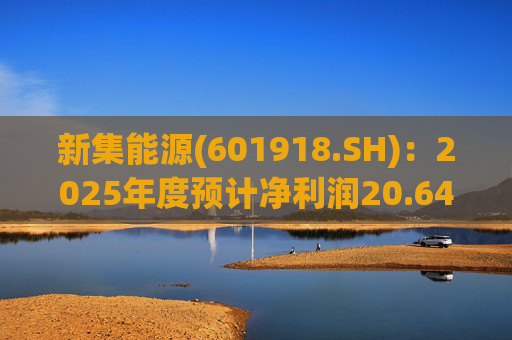 新集能源(601918.SH)：2025年度预计净利润20.64亿元