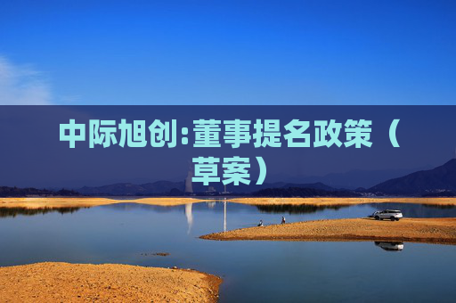 中际旭创:董事提名政策（草案）  第1张