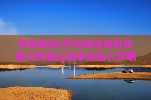 悍高集团:悍高集团股份有限公司独立董事候选人声明与承诺（李丹）