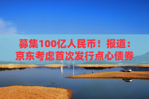 募集100亿人民币！报道：京东考虑首次发行点心债券  第1张