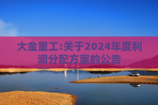 大金重工:关于2024年度利润分配方案的公告