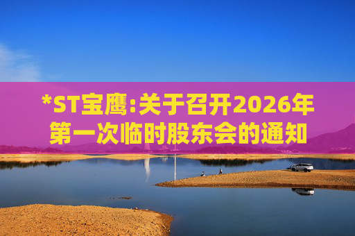 *ST宝鹰:关于召开2026年第一次临时股东会的通知