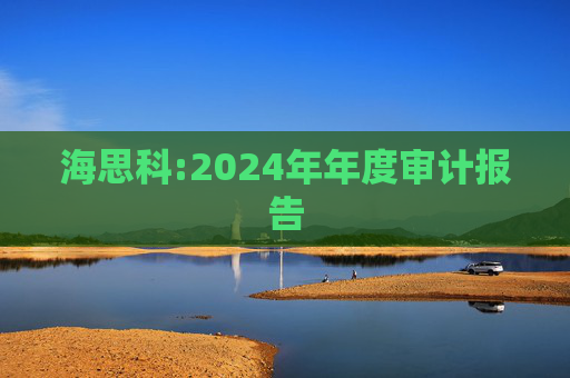 海思科:2024年年度审计报告