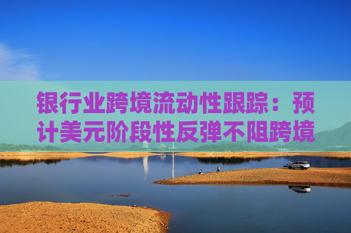 银行业跨境流动性跟踪：预计美元阶段性反弹不阻跨境回流长期趋势