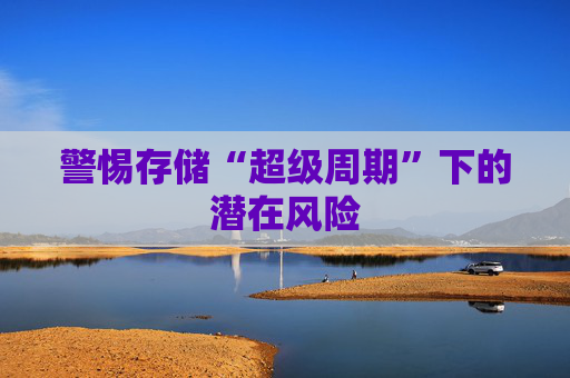 警惕存储“超级周期”下的潜在风险