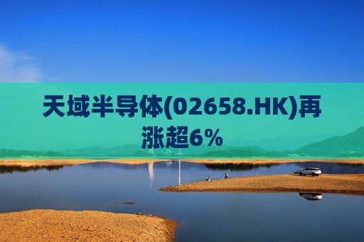 天域半导体(02658.HK)再涨超6%
