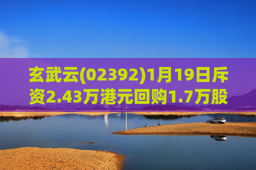 玄武云(02392)1月19日斥资2.43万港元回购1.7万股