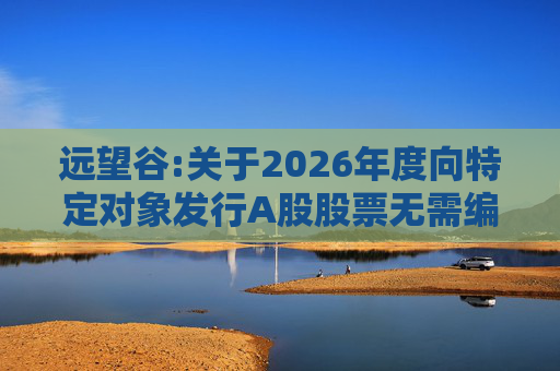 远望谷:关于2026年度向特定对象发行A股股票无需编制前次募集资金使用情况报告的公告