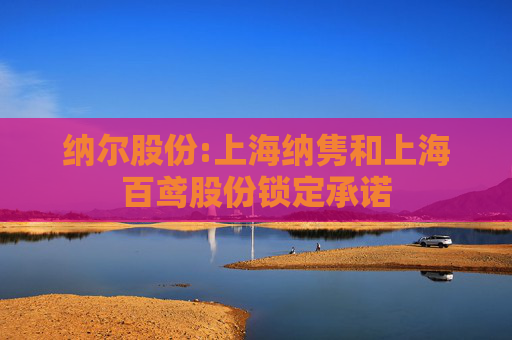 纳尔股份:上海纳隽和上海百鸢股份锁定承诺