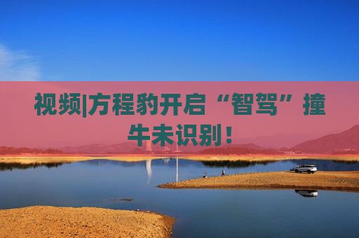 视频|方程豹开启“智驾”撞牛未识别！